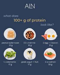 5 day sle high protein meal plans