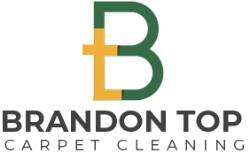 brandon top carpet cleaning