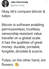 Bitcoin cash is an altcoin that was founded in 2017 as a fork of the highly sort after bitcoin. Bitcoin Vs Tulips Bitcoin