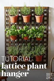 lattice wall planter