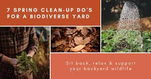 Clean Up Do S For A Biodiverse Yard