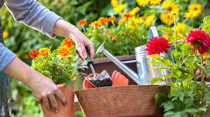 how you can hire a temporary gardener