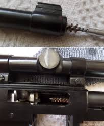how to clean your ruger 10 22