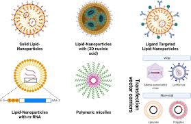 functional lipid nanoparticles