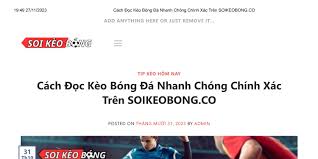 Phim Bo Chong Nang Dau
