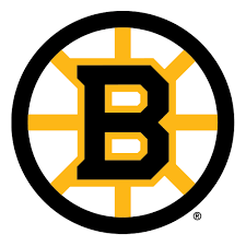 Boston Bruins gambar png