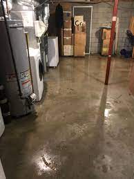 accurate carpet cleaning mold flood