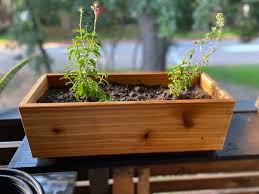 Box Kitchen Herb Garden Housewarming