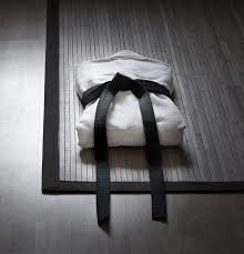 Image result for black belt disciplines