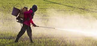 hidden dangers of chemical fertilizers