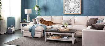 best couches for dogs and other types