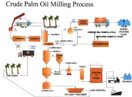 Palm Oil Processing Flow Chart_industry News