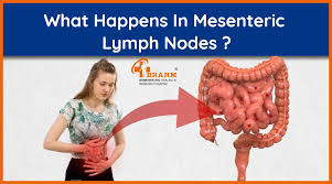 mesenteric lymph nodes treatment