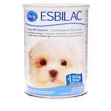 Consult with your vet before you start transitioning to hard kibble. Buy Esbilac Puppy Milk Replacer Powder Online Petcarerx