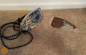 Take the same cloth you used in the beginning to blot the. Removing Carpet Burns 100 Functional Farahan Carpet