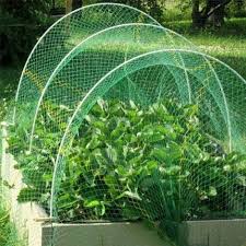 Strong Garden Netting 2m X 10m