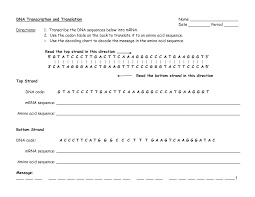This specific graphic transcription and translation worksheet answer key biology 32 pdf worksheet mutations practice answers best transcription and over is actually branded together withposted by means of kelly. Solved Dna Transcription And Translation Directions 1 T Chegg Com
