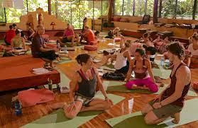 nosara yoga insute new owner