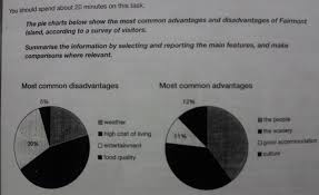 The Pie Charts Inform About The Most Common Advantages And