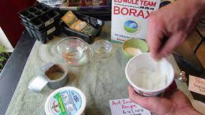 borax ant sugar bait for