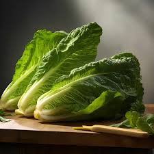 is romaine lettuce keto friendly