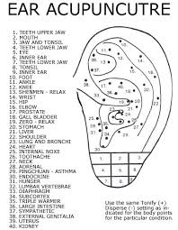A New Nomenclature For Auricular Acupuncture The Ultimate