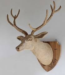 Driftwood Deer Head With Antlers Wall
