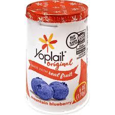 mountain blueberry low fat yogurt