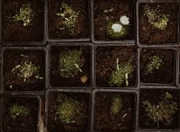 make a hydroponic stealth grow box