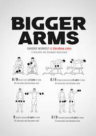 bigger arms workout