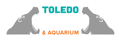 Live Nation Summer Concerts The Toledo Zoo Aquarium