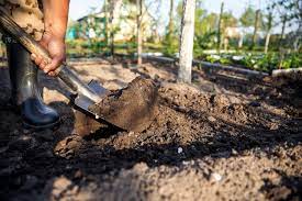 Gardener Digging In The Garden Soil