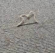 specialised carpet repairs project