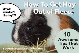 how to get hay out of fleece 10
