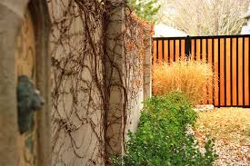 Privacy Fence Ideas