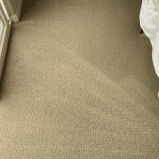 floor cleaner fred carpet floor