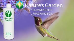 Hummingbird Fragrance Oil Natures