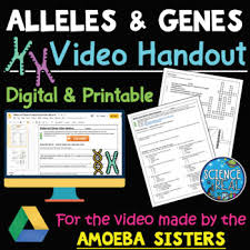 But.it's one allele from each parent. Alleles And Genes Video Handout For Video Made By The Amoeba Sisters
