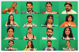 Each week, housemates nominate two of their. Bigg Boss Telugu Vote Season 4 Online Voting Contestants Star Maa