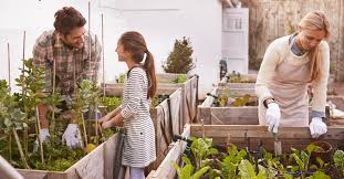 vegetable garden from s