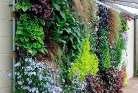 12 Radiant Diy Outdoor Plant Wall Ideas