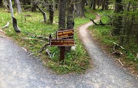 How To Read Trail Markers For Hiking
