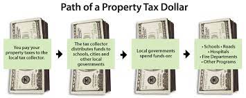 property tax system basics