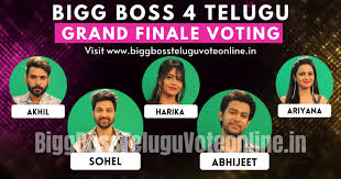 Winner of bigg boss telugu 4 is abhijeet duddala. Bigg Boss 4 Telugu Grand Finale Week Voting Who Is The Winner
