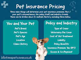 Pet Insurance Cost Uk gambar png