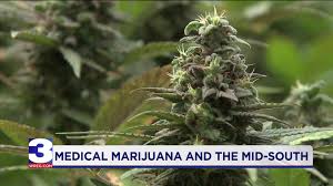 Find a medical marijuanas doctor in your state. Medical Marijuana In The Mid South Dispensaries Still In The Works For Much Of Eastern Arkansas