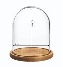 Glass Decorative Bell Jar Dome With