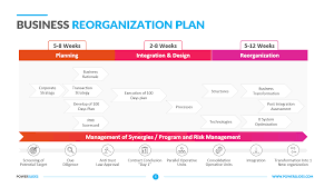 business reorganization plan template