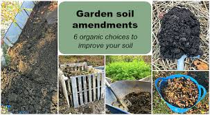 Garden Soil Amendments 6 Organic