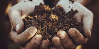 potting soil vs garden soil what s the